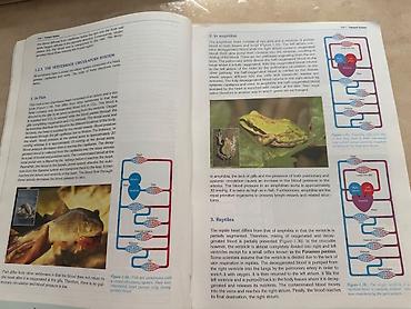Книги и журналы: Məhsul: “Biology 3” dərsliyi Nəşriyyat: Sürat Publications ( — 7