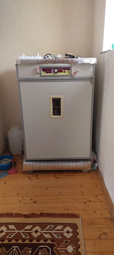 inkubator: 1100 yumurta