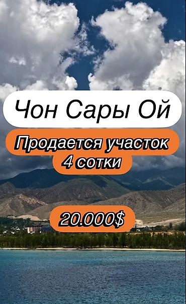 один штук: 4 соток, Для бизнеса, Красная книга — 1