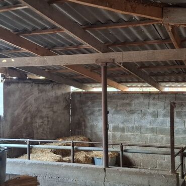 Продажа домов: Барачный, 45 м², 4 комнаты, Собственник, Евроремонт — 9