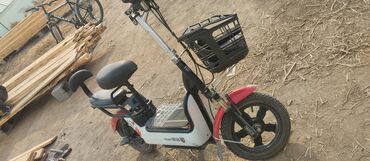 рыболовные кораблики: Электроскутер компактного класса с посадкой на двух человек