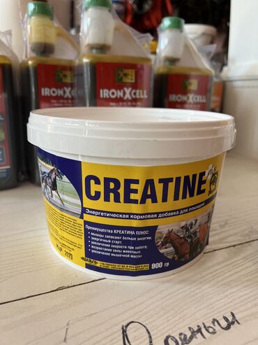 Корма для с/х животных: ВИТАМИНЫ ДЛЯ ЛОШАДЕЙ В большом ассортименте Адрес : Алматинская 97а — 5