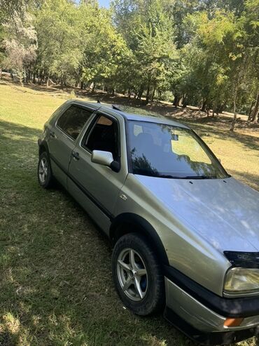 дом на кальосах: Volkswagen Golf: 1993 г., 1.6 л, Механика, Бензин, Хэтчбэк