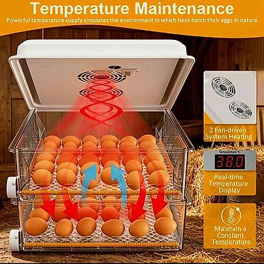 инкубаторы для яиц: 120 yumurtalı, ikiqat enerji mənbəli inkubator - 5 çıxartma rejimi: 4 — 6