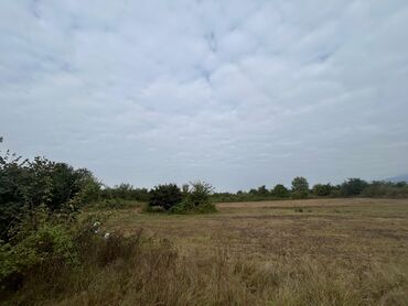 Torpaq sahələrinin satışı: 110 sot, Tikinti — 1