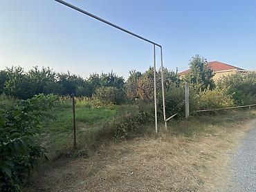Digər tikinti materialları: 20 sot torpaq sahəsi 25 gilas agacı 11 göyçə sortu alça agacı 4 gavalı -da lalafo.az — 18 Digər tikinti materialları: 20 sot torpaq sahəsi 25 gilas agacı 11 göyçə sortu alça agacı 4 gavalı — 18