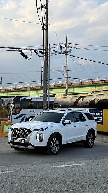 4wd 20132020: Hyundai Palisade: 2020 г., Кроссовер — 3