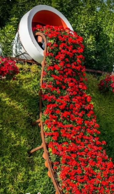 присмотр за домом с проживанием без хозяев: Требуется Горничная, Оплата Еженедельно