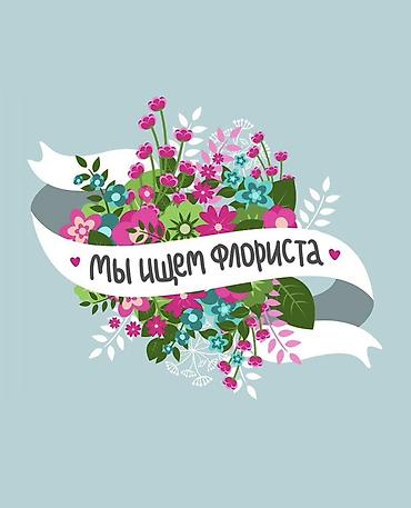 оформитель: Оформитель — 1