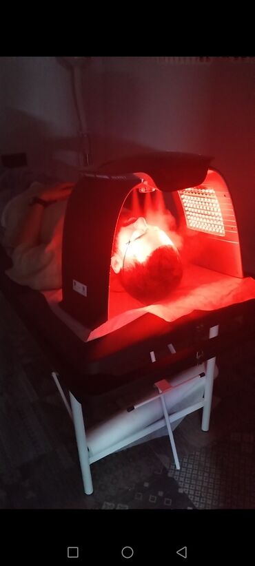 Hicama, zəli: İlk önce masaj hicama, zeli üzre bir mütexessis kimi onu deye bilerem — 4