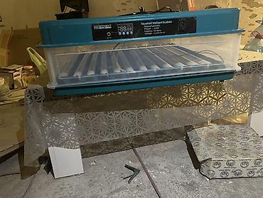 ingubator: Məhsul: Household Intelligent Incubator – ağıllı ev inkubatoru — 3