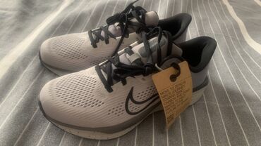 день и ночь: Мужские кроссовки, 40.5, Nike, Новый, цвет - Серый, Самовывоз, Платная доставка