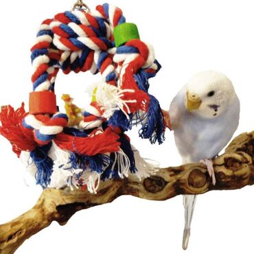 для попугая: Качели для попугая - подходит для мелких и средних птиц. Мягкая