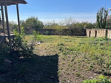 torpaq sirvan: 11 sot, Kupça (Çıxarış) — 5