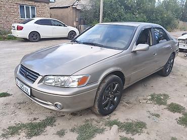 kamri 75: Toyota Camry: 2000 г., Автомат, Бензин, Седан — 3