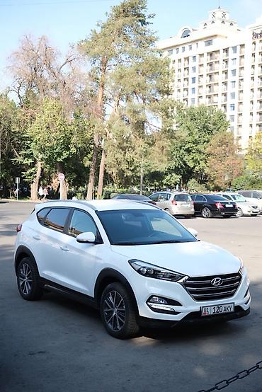 сажевый: Hyundai Tucson: 2016 г., 1.7 л, Робот, Дизель, Кроссовер — 7