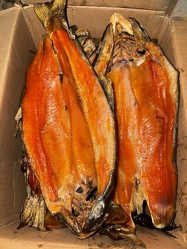 кыргыз сиги: 🐟 КОПЧЁНАЯ ФОРЕЛЬ ОПТОМ — 1100 СОМ/КГ Натуральное копчение 🔥 Без — 2