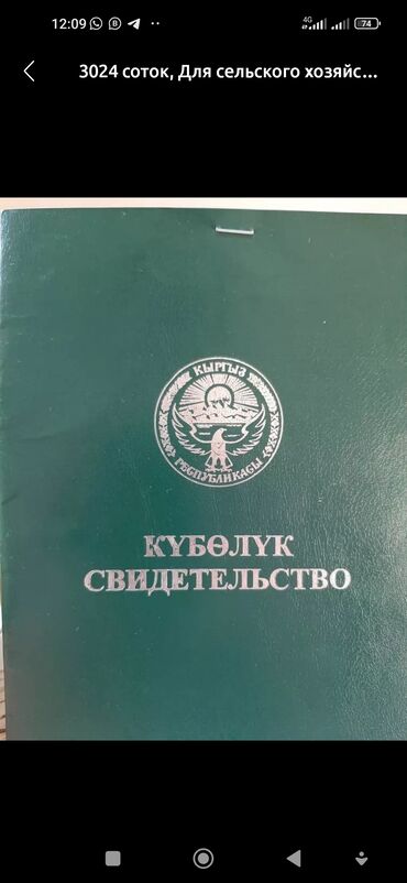 Аренда участков: 85 соток Для сельского хозяйства