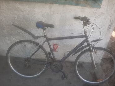 saft bicycle: Şəhər velosipedi 28", sürətlərin sayı: 7, Ünvandan götürmə