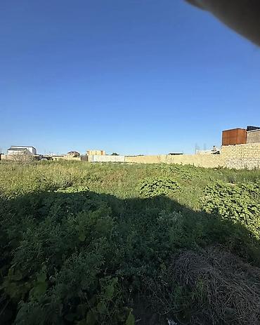 primorski sahil qesebesi: 9 sot, Tikinti, Barter mümkündür, Kupça (Çıxarış) — 3