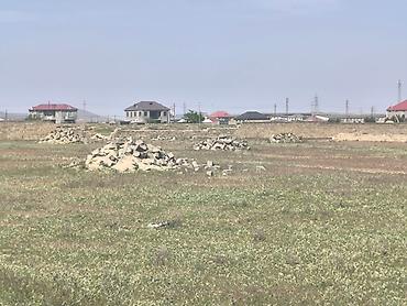 şirket: 24 sot, Tikinti, Mülkiyyətçi, Bələdiyyə — 2
