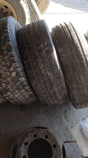 Təkərlər: İşlənmiş Şin 315 / 80 / R 22,5 — 1