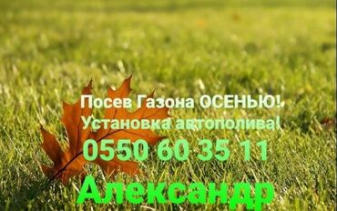 газон сеем: Газон осенью! Хотите красивый, ухоженный газон? Звоните нам! Посеем