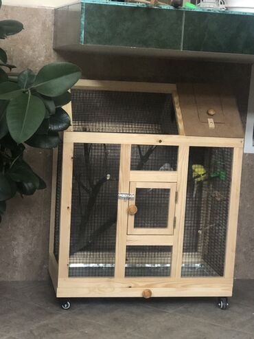 quş qovan aparat: Taxta çərçivəli, tor örtüklü geniş quş qəfəsi - Təbii ağac karkas və