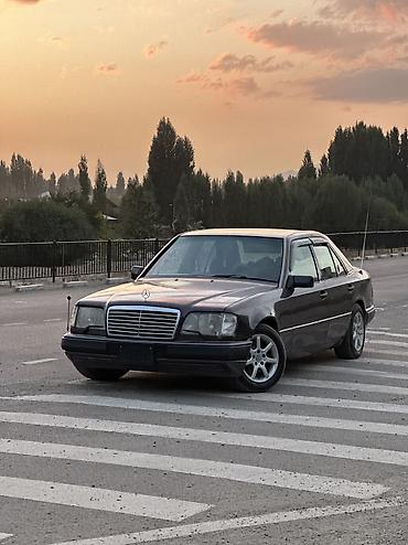 Mercedes-Benz: Mercedes-Benz W124: 1996 г., 2.2 л, Механика, Бензин, Седан — 2