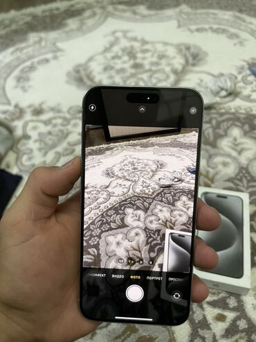 чехол для диванов: IPhone 15 Pro Max, 256 ГБ, Коробка, 87 %