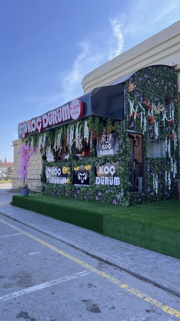 Bağ və bostan üçün digər məhsullar: 19 man baslayan qiymetler — 21