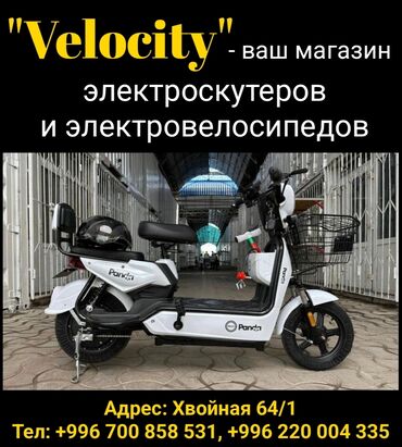 куплю электро муравей: Velocity - ваш магазин электроскутеров и электровелосипедов!