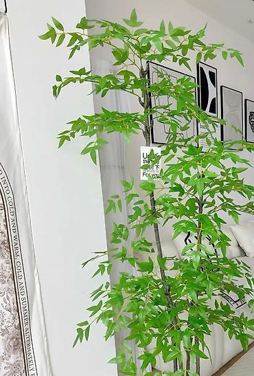 Декоративные цветы: Искусственное дерево в стильном белом кашпо. Идеально для интерьера — 9