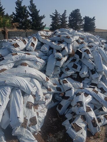 Torf: Torf gubresinn satşi cox aln endirm var — 13