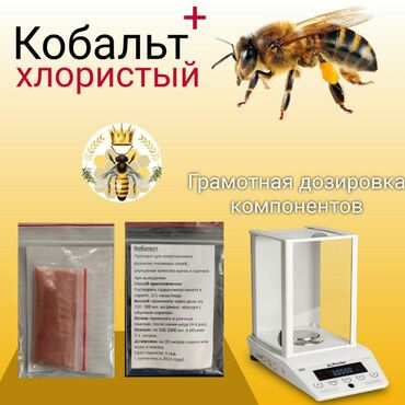 barbados сироп в Кыргызстан | ДРУГИЕ ПРОДУКТЫ ПИТАНИЯ: Кобальт+ Стимулятор для развития пчелиных семей. Применяется весной