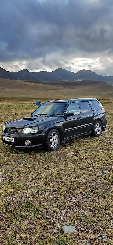 subaru forester sg: Subaru Forester: 2003 г., 2 л, Автомат, Бензин, Кроссовер — 8