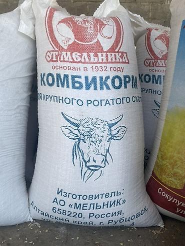 коровы для молоко: Комбикорм для крупно рогатого скота и МРС «От мельника» -Назначение — 2