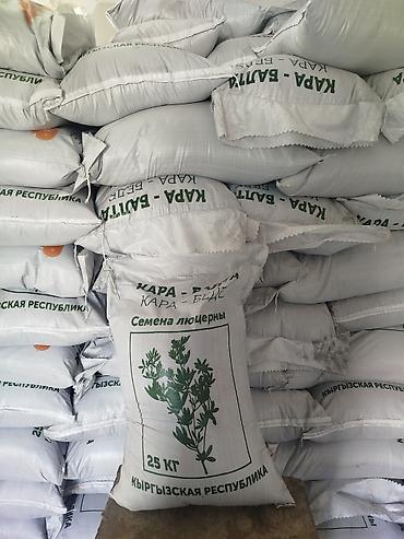 Кормовые растения: Семена кормовых растений: Люцерна — 8