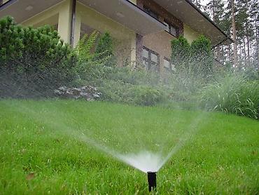Газон: Сеем газон, Поссев газон, Газон себебиз 🌱 под ключ 🏡по городу бишкек — 8