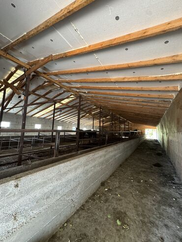 Сельхоз предприятия: Продаю Ферма КРС, 330 соток, Действующий, С оборудованием, Холодная вода, Электричество — 3
