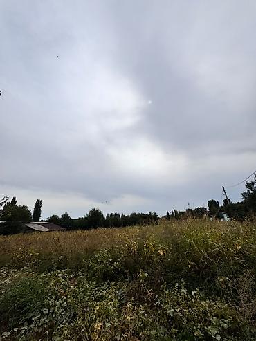 Продажа коттеджей и домов: 🏡 Продаётся дом с хозяйственными постройками в селе Лубяное — 14