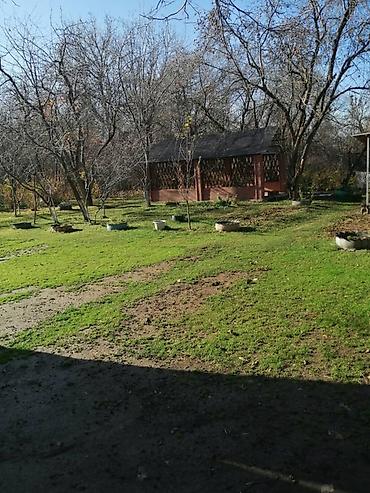 черная речка: 🌿 Продаётся уютная дача — 35 км от шлагбаума. Участок 25 соток в — 4