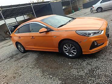 ниссан жук: Hyundai Sonata: 2019 г., 2 л, Автомат, Газ, Седан — 4