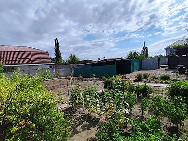 Кыймылсыз мүлк: 4 соток, Курулуш, Кызыл китеп — 1