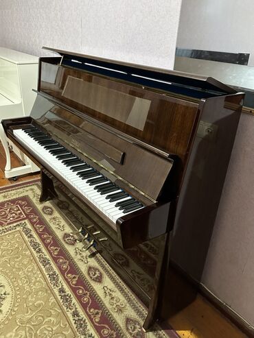 Pianolar: Piano, Petrof, Akustik, Yeni, Pulsuz çatdırılma — 8