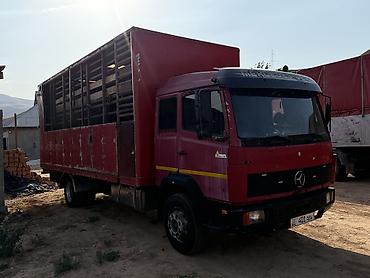Mercedes-Benz: Mercedes-Benz : 1991 г., 6 л, Механика, Дизель — 3