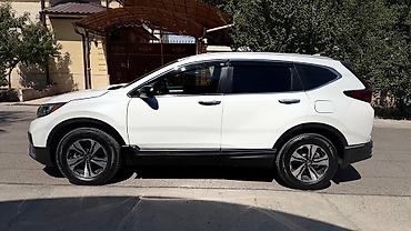 honda crv 2019: Honda CR-V: 2019 г., 1.5 л, Бензин, Кроссовер — 3