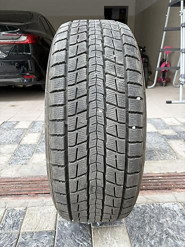 26550r22: Зимняя шина Dunlop (Digi-Tyre) безкамерная, Япония. Основные — 3