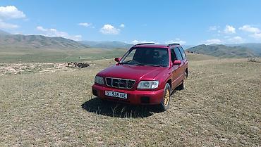форестер матор: Subaru Forester: 2000 г., 2 л, Автомат, Бензин, Универсал — 5