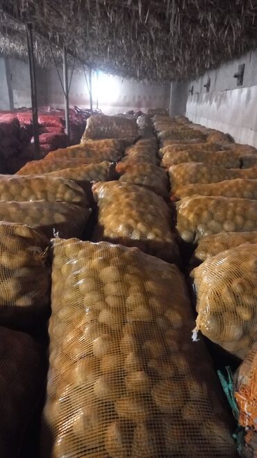 Картошка: Картошка Пикассо — 7